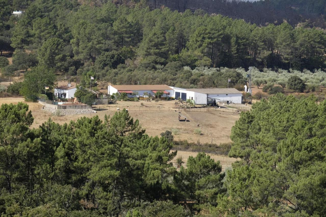 La Tierra Verde Cottage Alcuéscar Eksteriør bilde